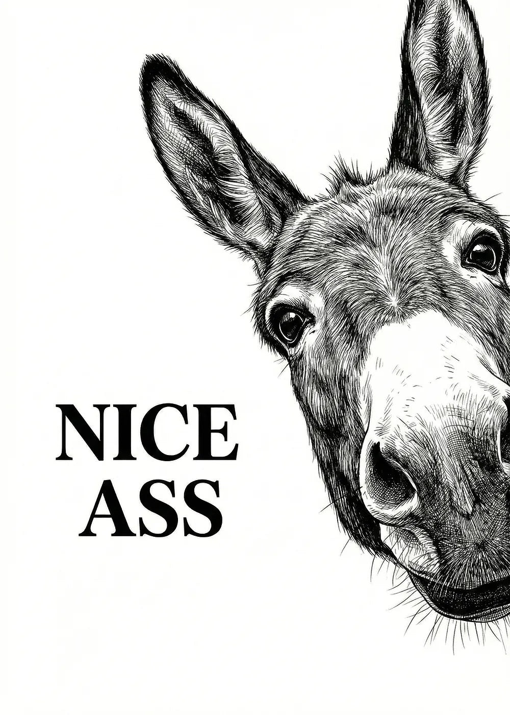 Fine Donkey metal poster artwork